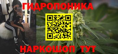 СК Тулун