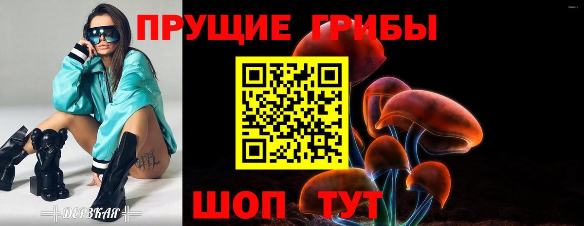 Галлюциногенные грибы Psilocybe  Вход с VPN  Нефтекумск 